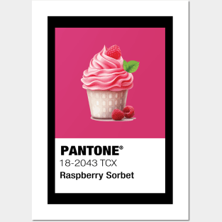 Raspberry Sorbet ice cream Posters and Art